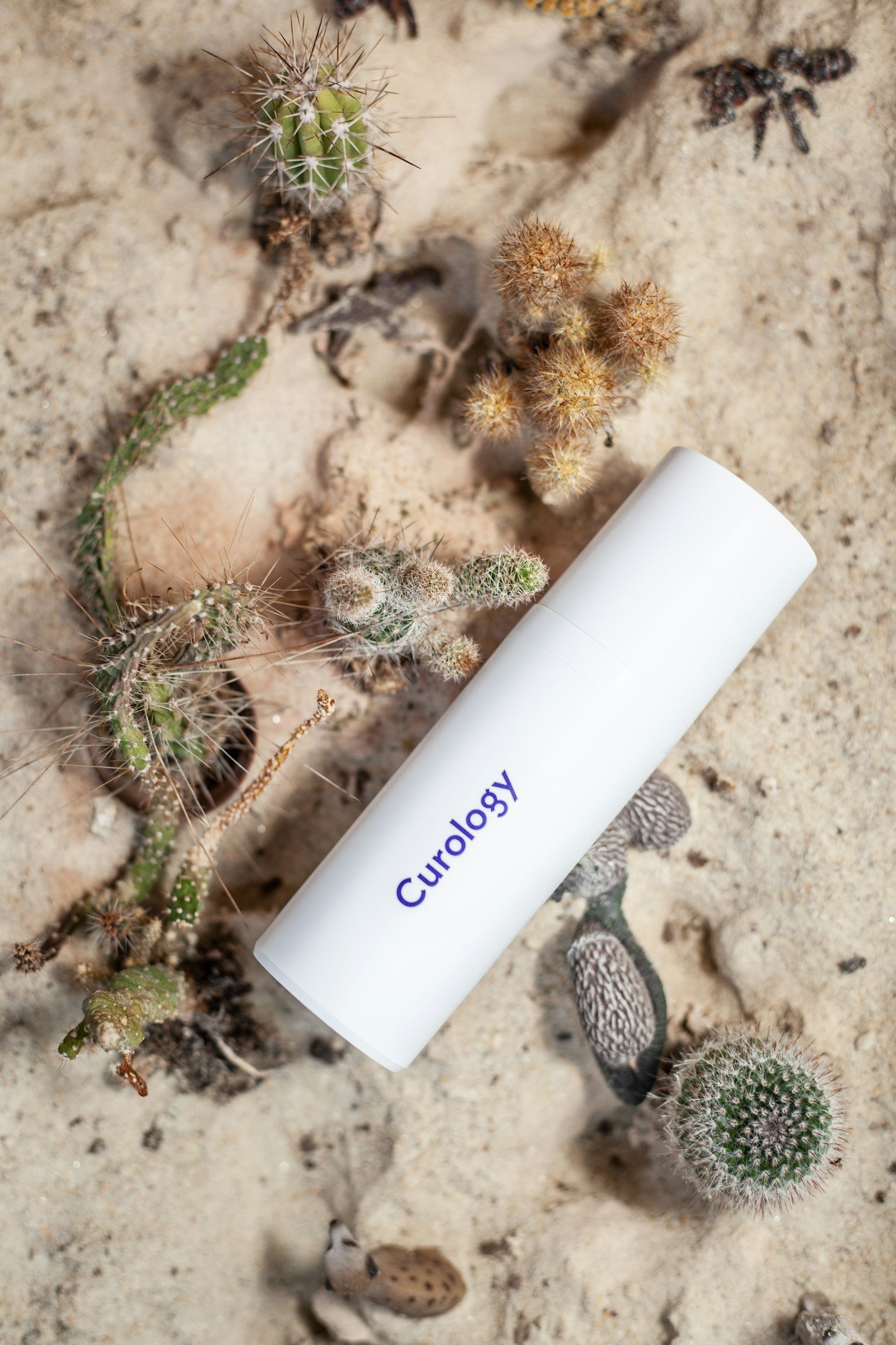 Edelstahl-Waschbecken mit Siphon – Schritt-für-Schritt-Reinigung